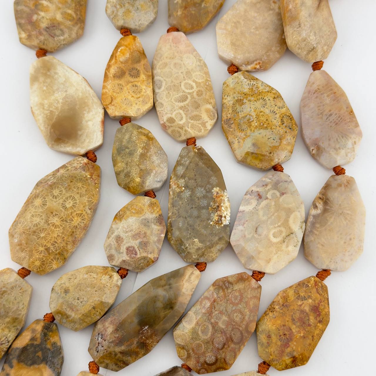 Оканемелый коралл (фоссил) размер 22*38мм натуральный камень